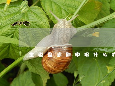 金税盘逾期申报什么办 金税盘逾期申报什么办