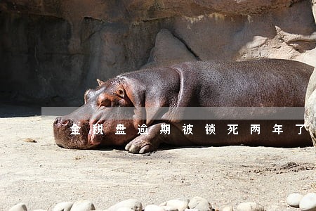 金税盘逾期被锁死两年了 金税盘逾期被锁死两年了