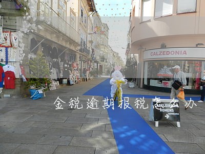 金税逾期报税怎么办 金税逾期报税怎么办