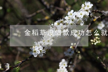 金稻草没借款成功怎么就逾期了 金稻草没借款成功怎么就逾期了