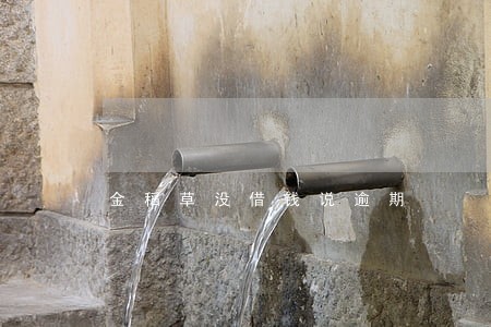 金稻草没借钱说逾期 金稻草没借钱说逾期