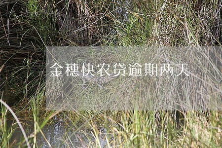 金穗快农贷逾期两天 金穗快农贷逾期两天