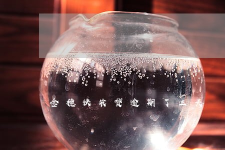 金穗快农贷逾期了三天 金穗快农贷逾期了三天