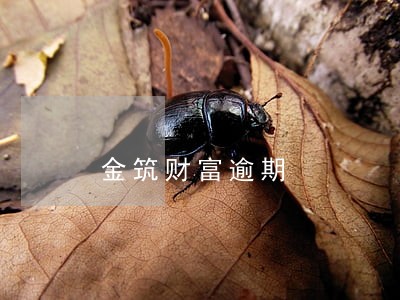 金筑财富逾期 金筑财富逾期