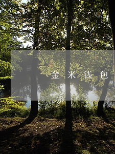 金米钱包逾期扣费 金米钱包逾期扣费