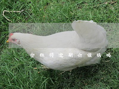 金粒得逾期会催收吗 金粒得逾期会催收吗