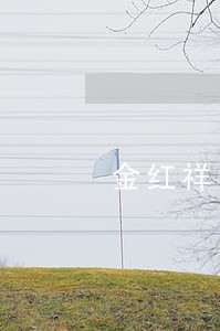 金红祥受贿案法院作出有罪判决 金红祥受贿案法院作出有罪判决