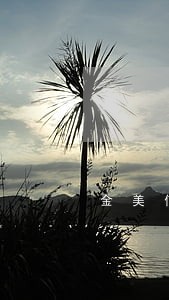 金美信贷款逾期一天 金美信贷款逾期一天