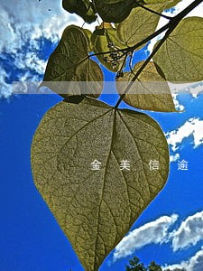 金美信逾期一天征信会显示吗 金美信逾期一天征信会显示吗
