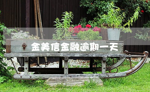 金美信金融逾期一天 金美信金融逾期一天