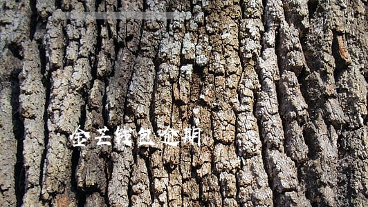 金芒钱包逾期 金芒钱包逾期