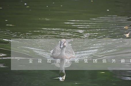 金花投资控股集团债务逾期