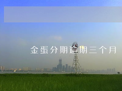 金蛋分期逾期三个月 金蛋分期逾期三个月