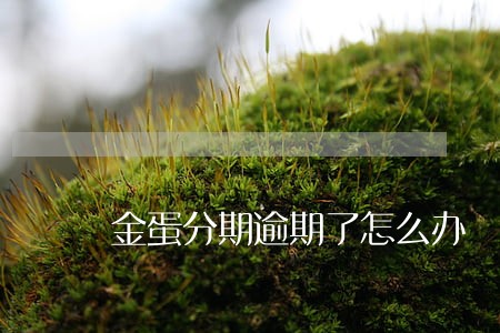 金蛋分期逾期了怎么办 金蛋分期逾期了怎么办
