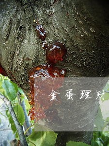 金蛋理财兑现逾期了吗 金蛋理财兑现逾期了吗