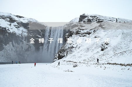 金蝉子借款逾期不还