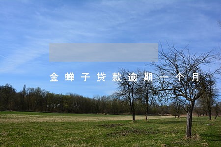 金蝉子贷款逾期一个月 金蝉子贷款逾期一个月