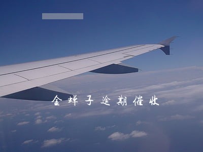金蝉子逾期催收 金蝉子逾期催收