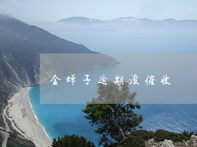 金蝉子逾期没催收 金蝉子逾期没催收