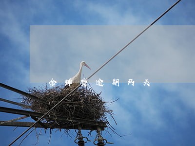 金蝉贷逾期两天 金蝉贷逾期两天