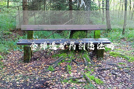 金蝉选矿药剂违法吗
