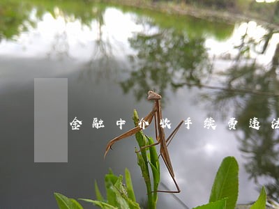 金融中介收手续费违法不 金融中介收手续费违法不