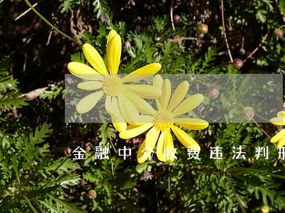 金融中介收费违法判刑 金融中介收费违法判刑