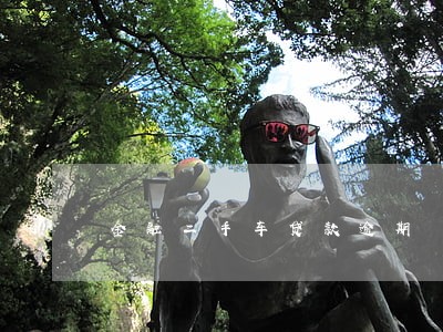 金融二手车贷款逾期