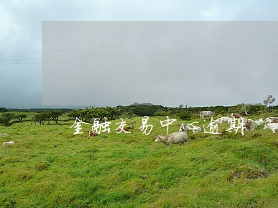 金融交易中心逾期