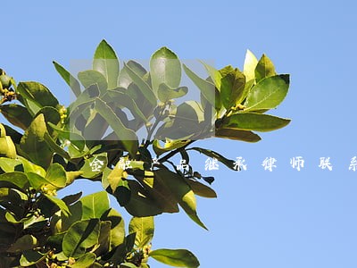 金融产品继承律师联系方式 金融产品继承律师联系方式