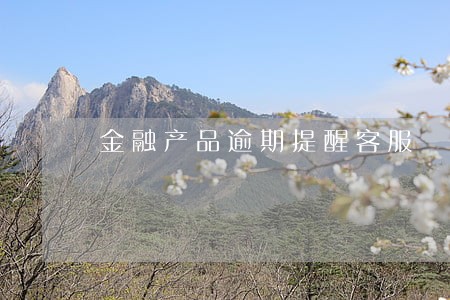 金融产品逾期提醒客服