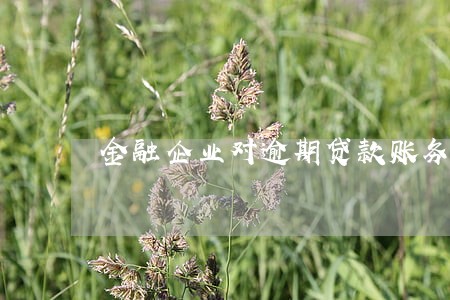 金融企业对逾期贷款账务处理 金融企业对逾期贷款账务处理