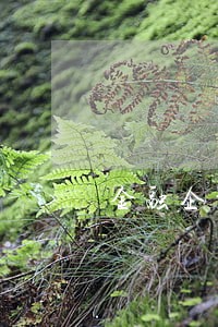 金融企业确认逾期收入 金融企业确认逾期收入