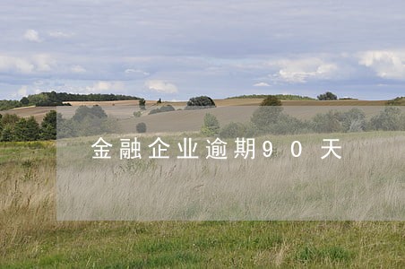 金融企业逾期90天 金融企业逾期90天