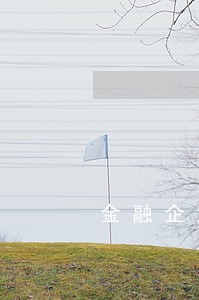 金融企业逾期业务 金融企业逾期业务