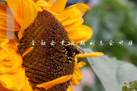 金融企业逾期利息会计核算 金融企业逾期利息会计核算