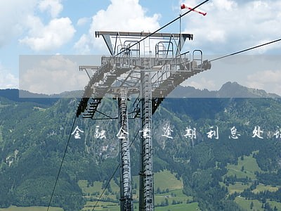 金融企业逾期利息处理 金融企业逾期利息处理