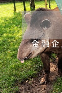 金融企业逾期利息征税 金融企业逾期利息征税