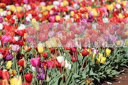 金融企业逾期利息收入处理 金融企业逾期利息收入处理