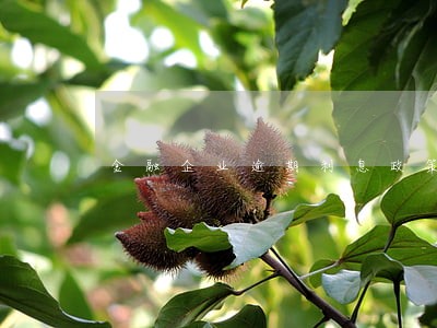 金融企业逾期利息政策 金融企业逾期利息政策