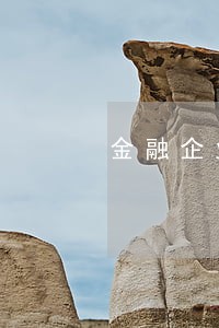 金融企业逾期利息的规定 金融企业逾期利息的规定