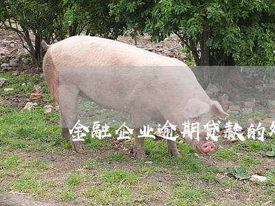 金融企业逾期贷款的处理 金融企业逾期贷款的处理