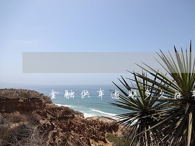 金融供车逾期多久拖车 金融供车逾期多久拖车
