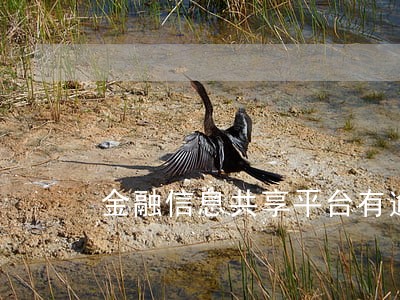 金融信息共享平台有逾期 金融信息共享平台有逾期