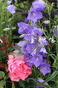 金融信息基础数据库贷款逾期