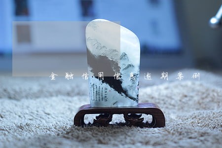 金融信用信息逾期案例 金融信用信息逾期案例