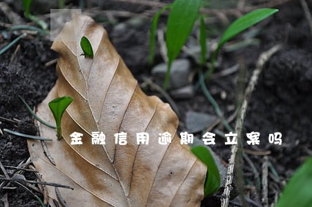 金融信用逾期会立案吗 金融信用逾期会立案吗