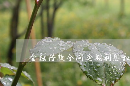 金融借款合同逾期利息和罚息 金融借款合同逾期利息和罚息