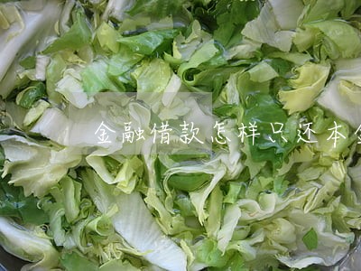 金融借款怎样只还本金 金融借款怎样只还本金
