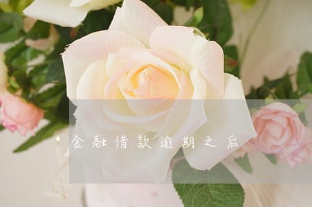 金融借款逾期之后 金融借款逾期之后